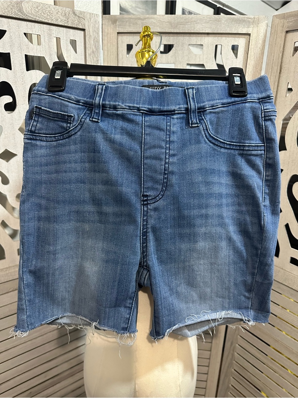 Judy Blue Light Blue Frayed Hem Denim Shorts